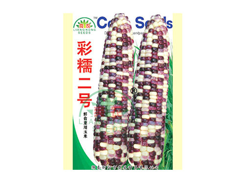 彩糯二號 彩糯二號